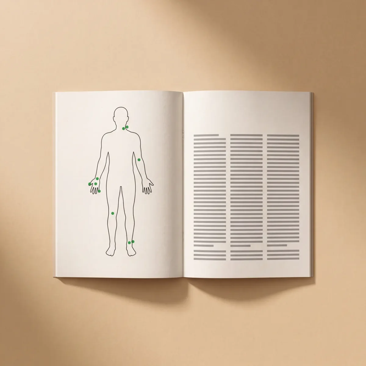 Guida illustrata